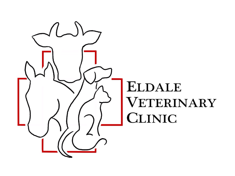 Eldale Veterinary Clinic