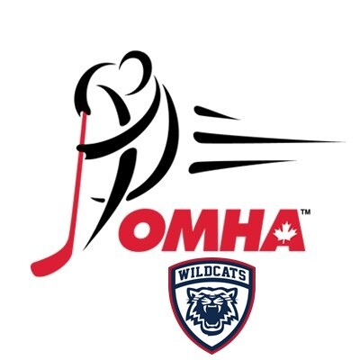 2022 OMHA Championships Preview - Recruit Scouting %