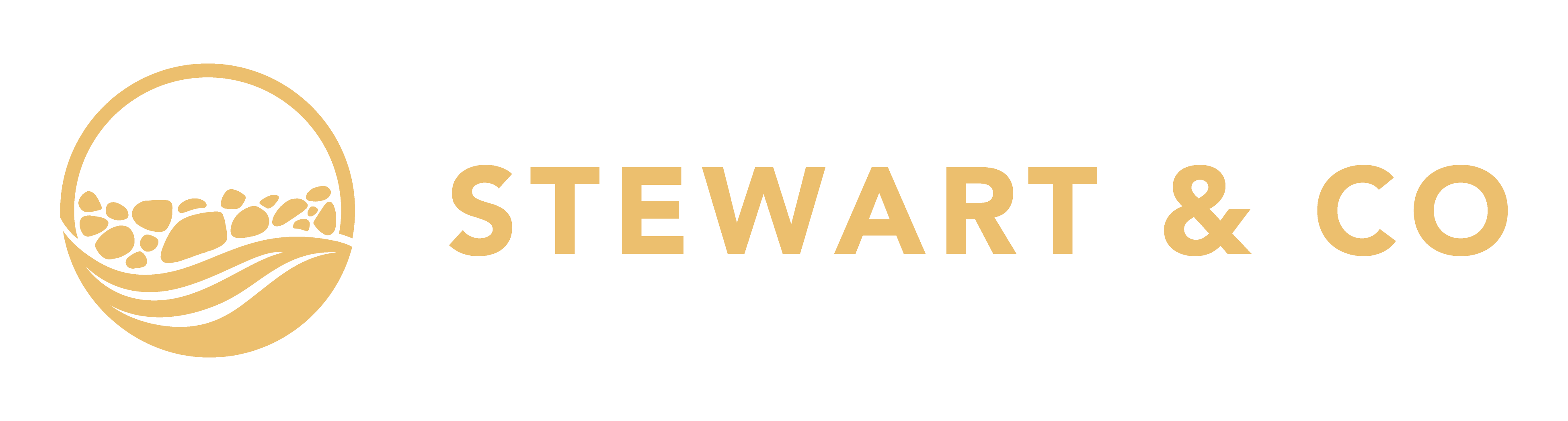 Stewart & Co 